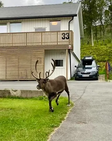 Vila Reindeer Tromsø